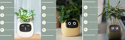 Smart Planter LEVARIA SmartPlant Mini Pot 
