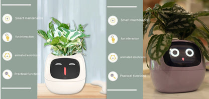Smart Planter LEVARIA SmartPlant Mini Pot 