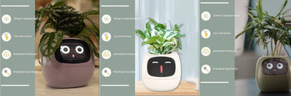 Smart Planter LEVARIA SmartPlant Mini Pot 