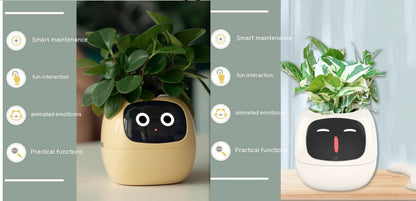 Smart Planter LEVARIA SmartPlant Mini Pot 