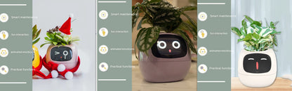 Smart Planter LEVARIA SmartPlant Mini Pot 