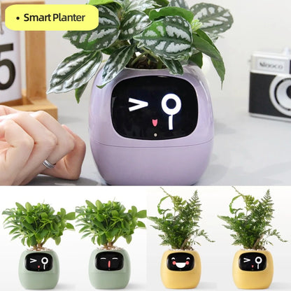 Smart Planter LEVARIA SmartPlant Mini Pot 