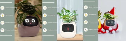Smart Planter LEVARIA SmartPlant Mini Pot 
