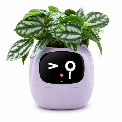 Smart Planter LEVARIA™ SmartPlant Mini Pot – Smart Pot with Watering Sensor and Interactive Display