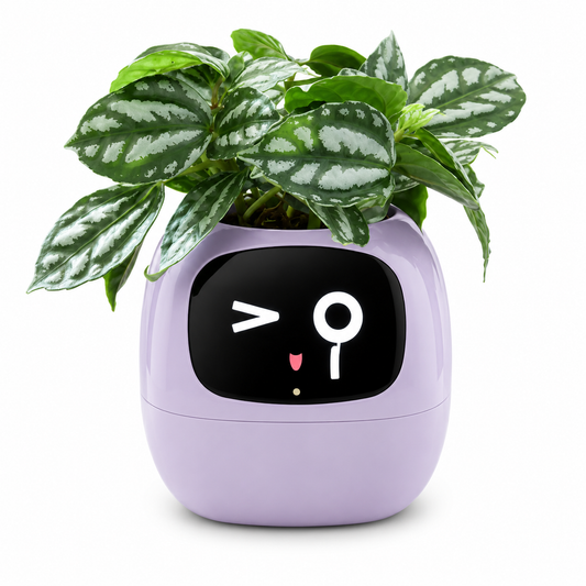Smart Planter LEVARIA™ SmartPlant Mini Pot – Smart Pot with Watering Sensor and Interactive Display
