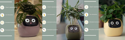 Smart Planter LEVARIA SmartPlant Mini Pot 