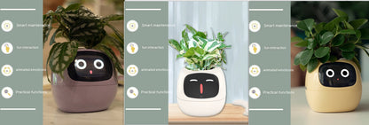 Smart Planter LEVARIA SmartPlant Mini Pot 