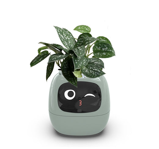 Smart Planter LEVARIA SmartPlant Mini Pot 